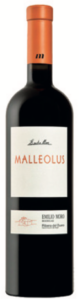 Malleolus Emilio Moro