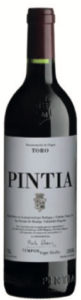 Pintia